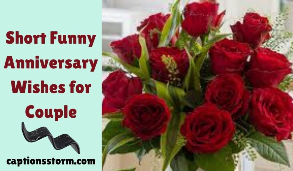 Short Funny Anniversary Wishes for Couple