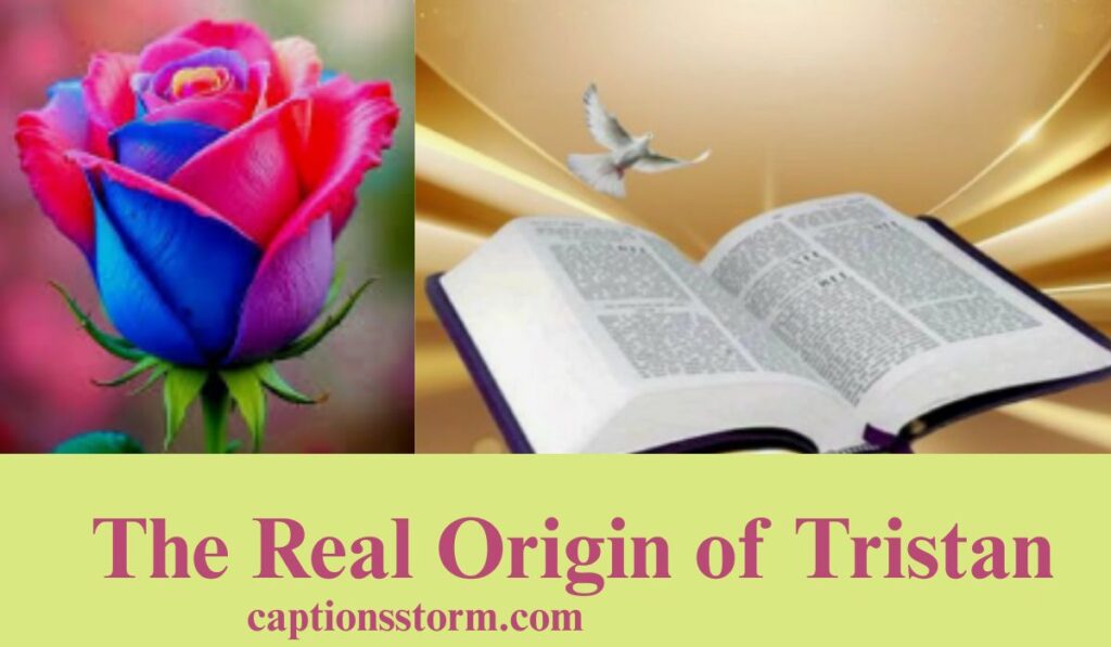 The Real Origin of Tristan