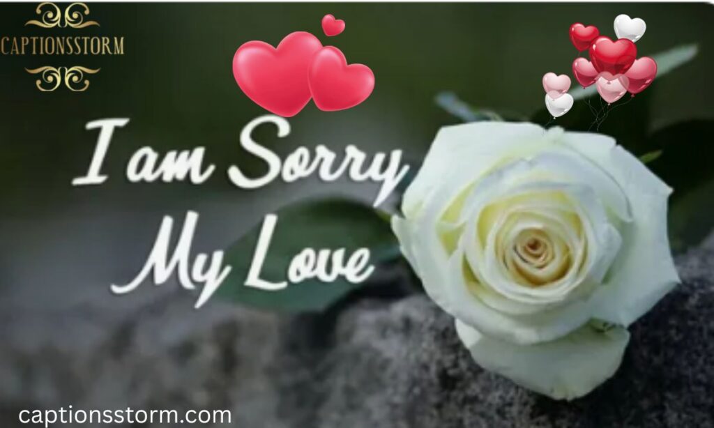 Apology Message to My Love for Hurting Him