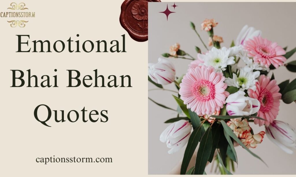 Emotional Bhai Behan Quotes