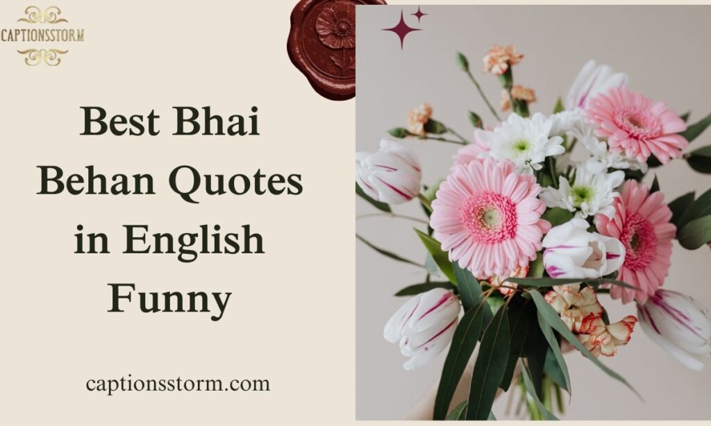 Best Bhai Behan Quotes in English Funny