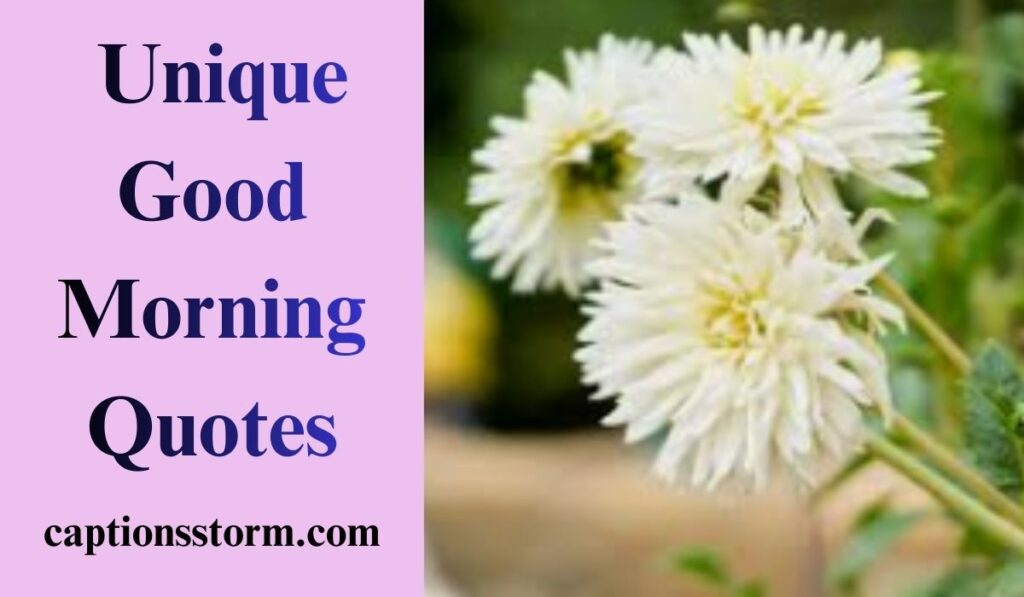  Unique Good Morning Quotes
