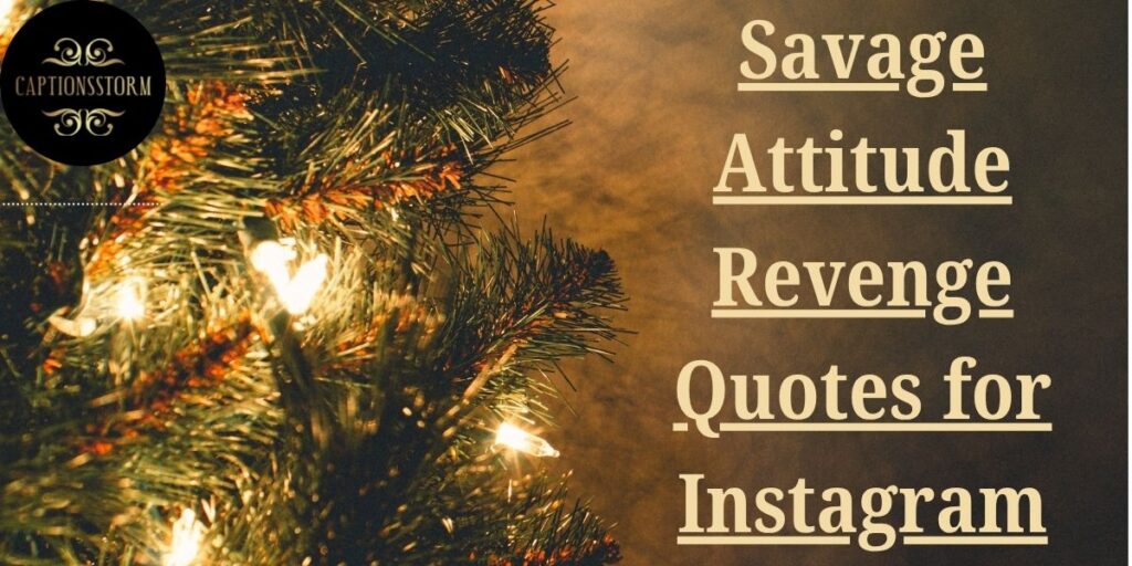 Savage Attitude Revenge Quotes for Instagram