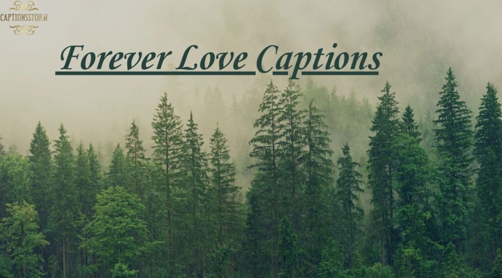 Forever Love Captions