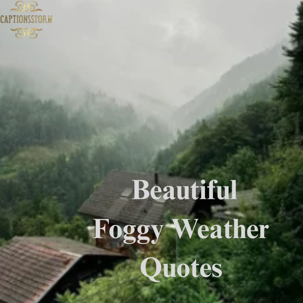 🌿 Beautiful Foggy Weather Quotes