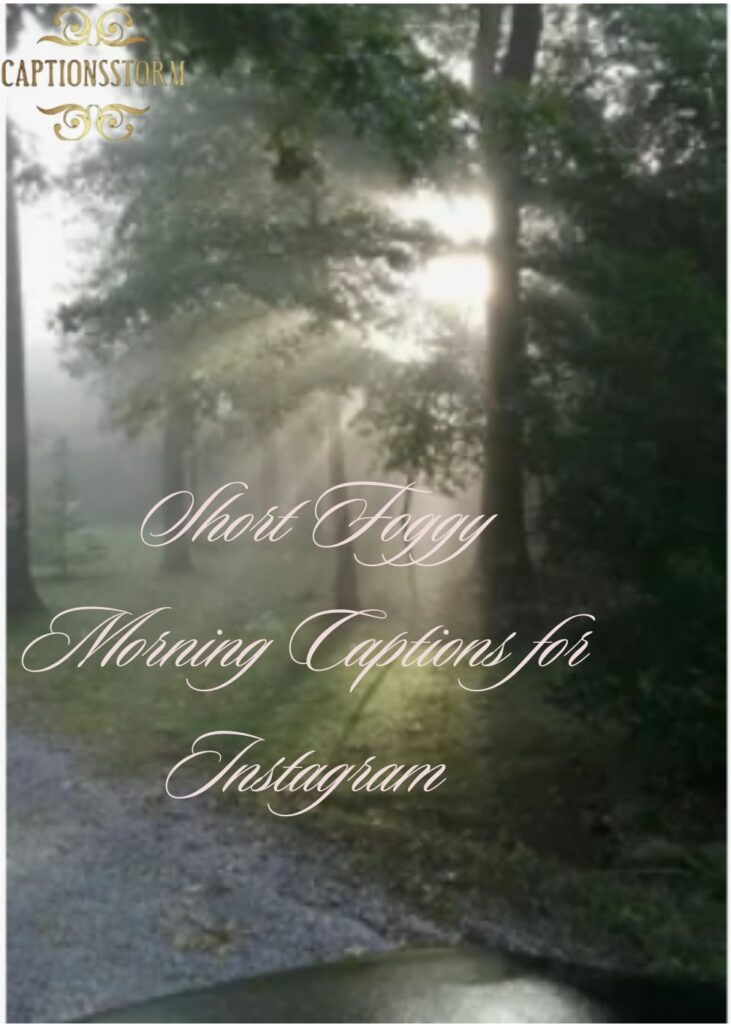  Short Foggy Morning Captions