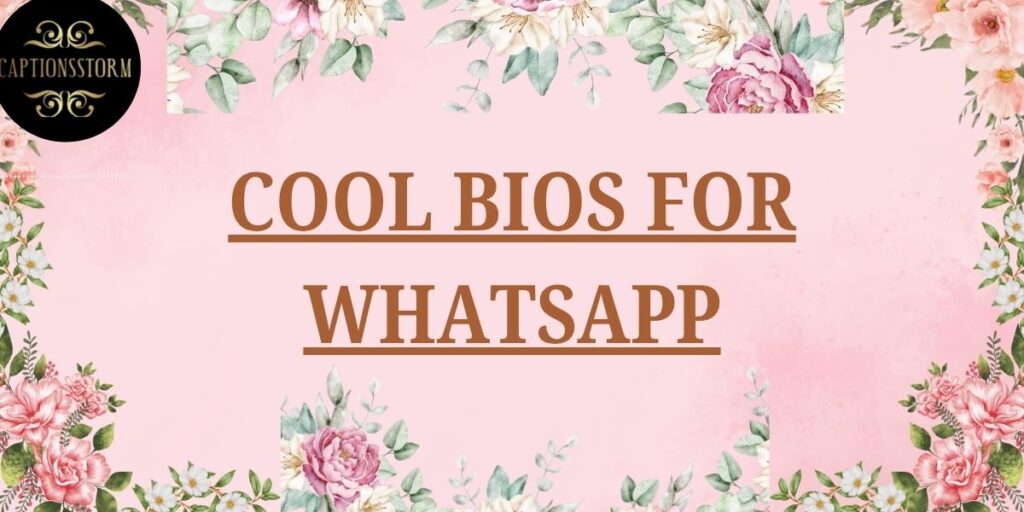 COOL BIOS FOR WHATSAPP