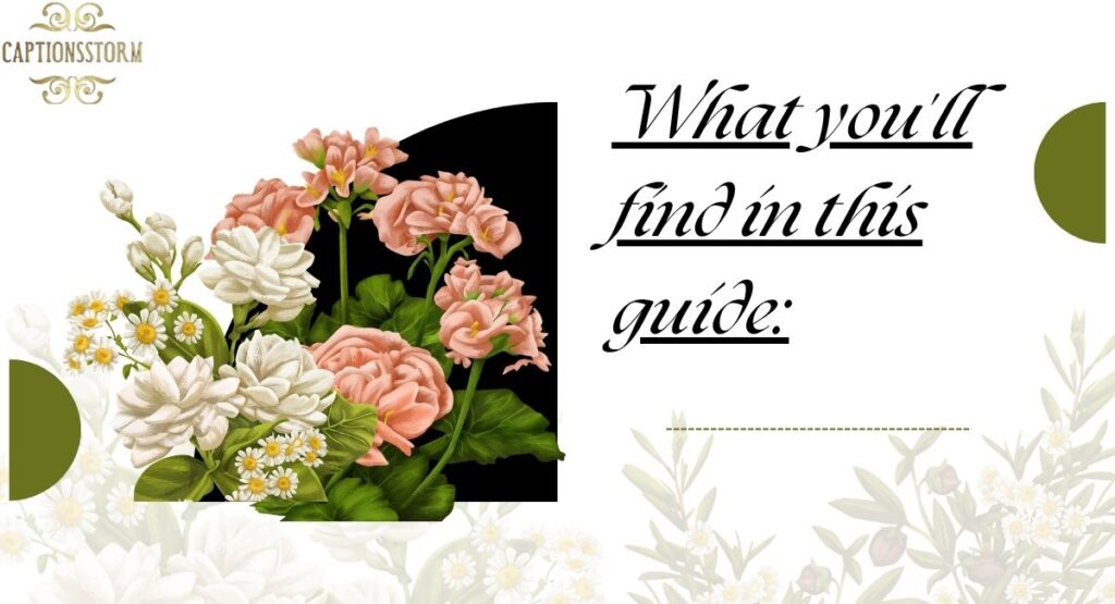 What you'll find in this guide: