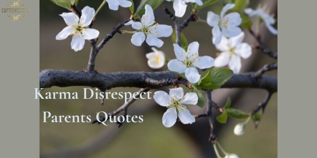 Karma Disrespect Parents Quotes
