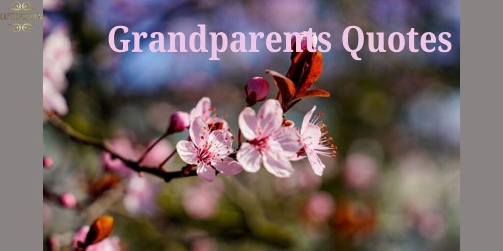 Grandparents Quotes