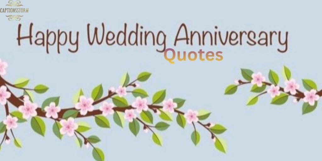 Top 10 Best 11th Wedding Anniversary Quotes
