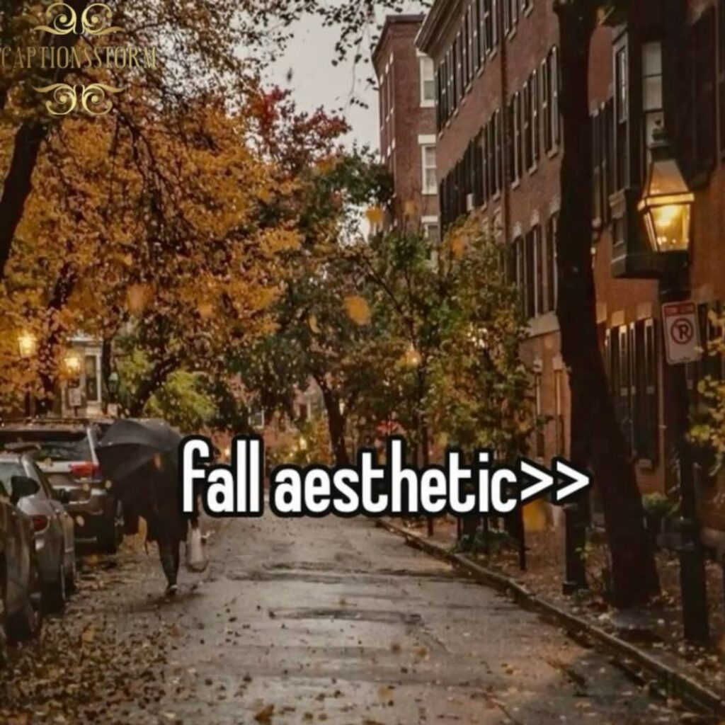 Why Soft Life Aesthetic Quotes Are Trending Everywhere Right Now