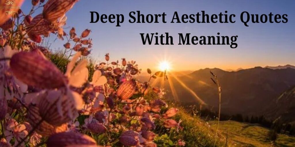 Deep Short Aesthetic Quotes With Meaning