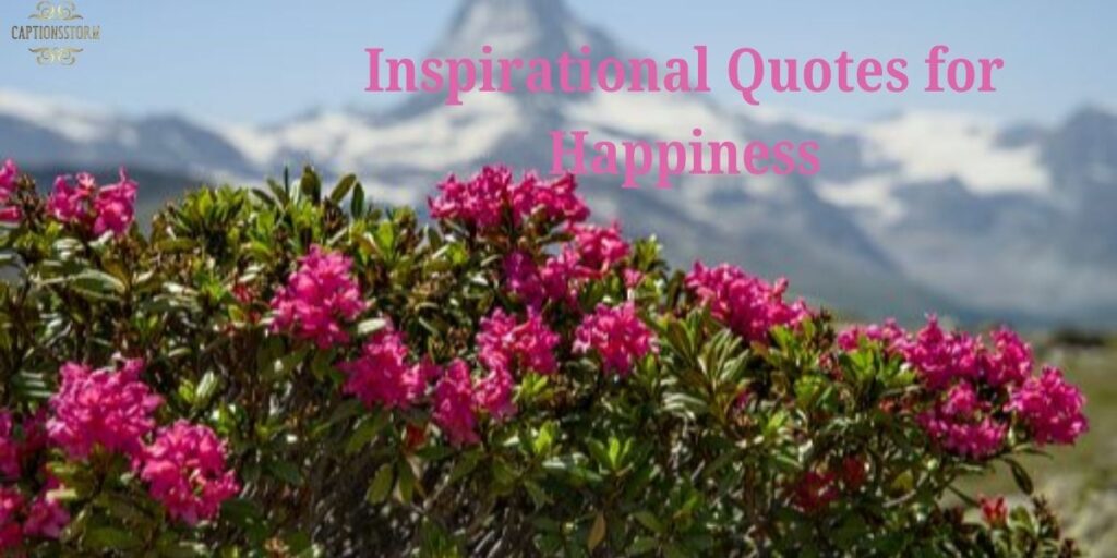 Inspirational Quotes for Happiness