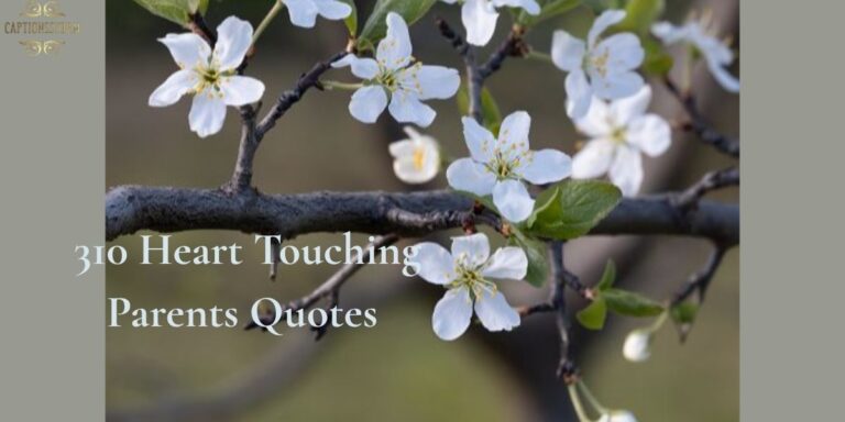 310 Heart Touching Parents Quotes
